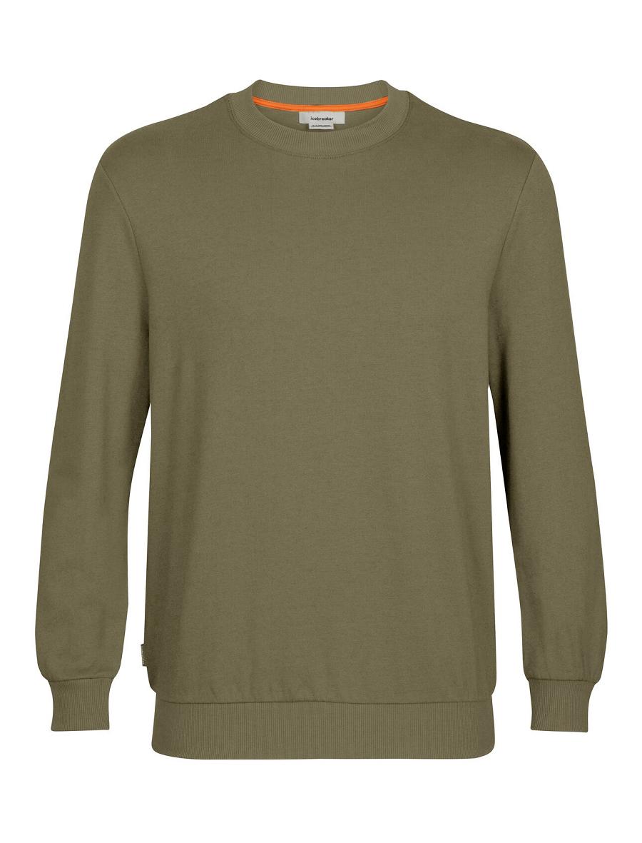 Sweat À Capuche Icebreaker Merino Central II Long Sleeve Sweatshirt Homme Vert Olive | FR 1276FDNM